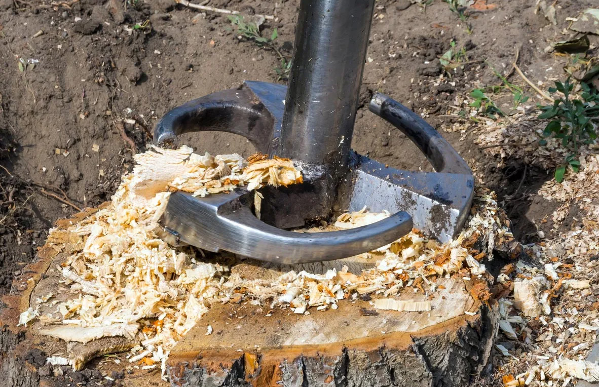 Stump Removal vs. Stump Grinding: Which is Right for Your Yard? hero image