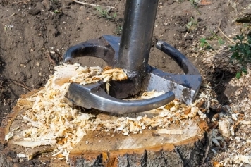 blog image Stump Removal vs. Stump Grinding: Which is Right for Your Yard?